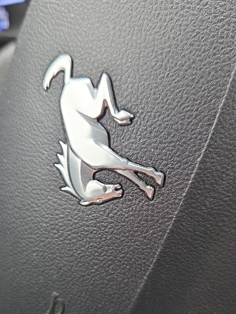 Special Order For Booberry - Lilla Rose Clips